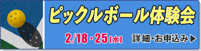 ピックルボール体験会